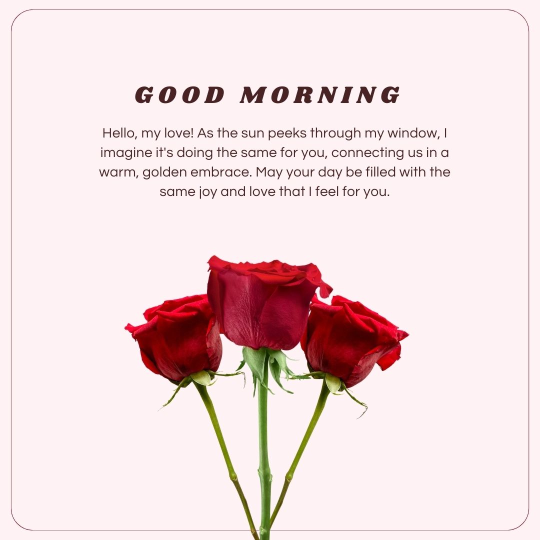Three vibrant red roses against a white background with text "Good Morning Paragraphs for Him" and a heartfelt message beneath, intending to connect and share warmth.