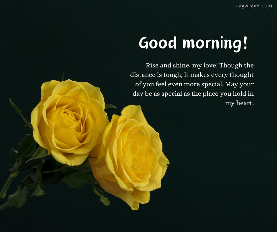 Two vibrant yellow roses against a dark green background with a message saying "Good morning! Rise and shine, my love! Though the distance is tough, it makes every thought of you feel even more special